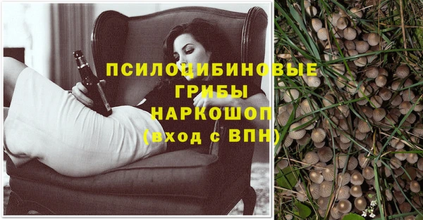 индика Тихвин