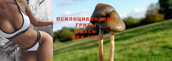 ECSTASY Белокуриха