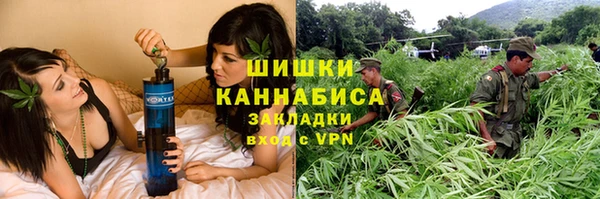 первитин Белоозёрский